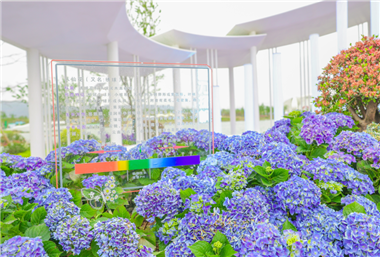 Wuxi to offer welcoming, expansive Jiangsu horticultural expo