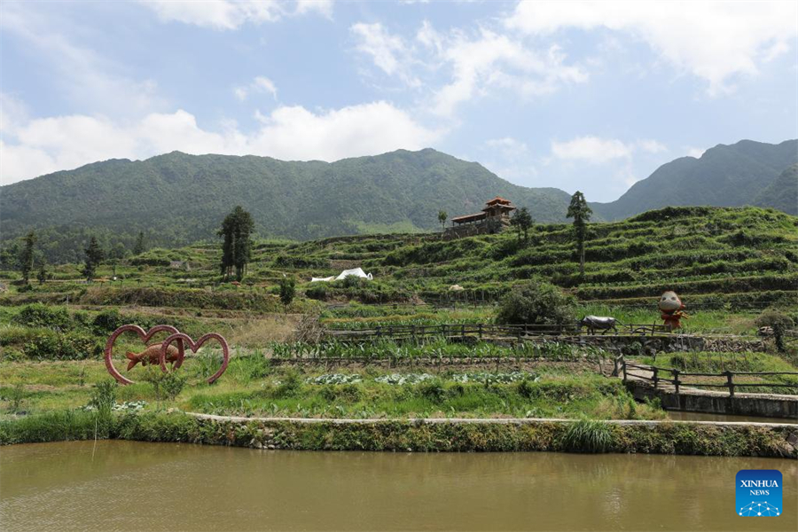 Agriculture heritage system revives China's 