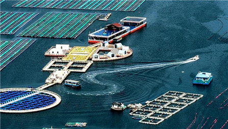 China continues to unlock the potential of its ocean economy