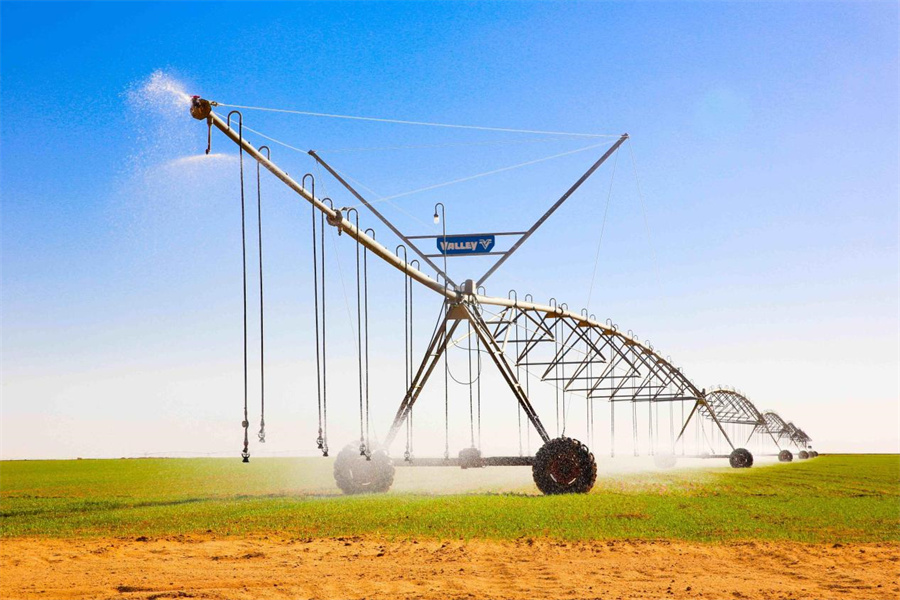 1763602507973096066.jpg 7.jpg