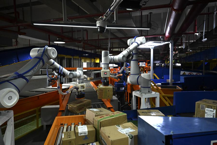 1763604446140075333.jpeg 25.jpeg