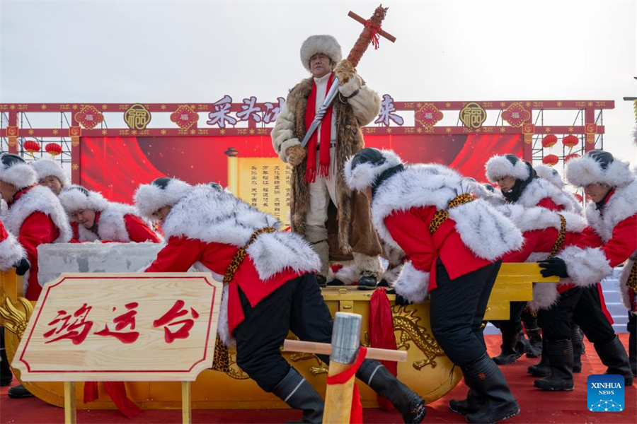 1765165457914021272.jpg 11.jpg