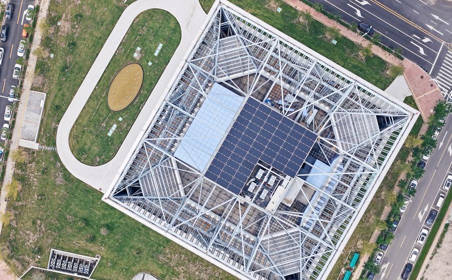 1765417317028088670.jpg 8.jpg