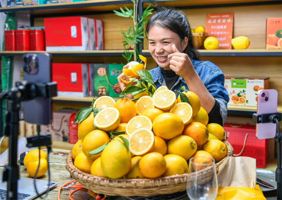 1765506776295001808.jpg 21.jpg