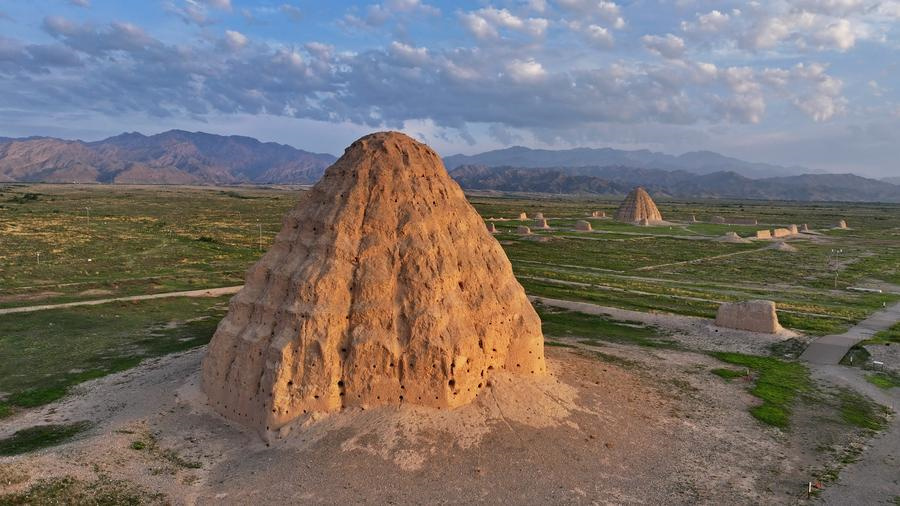 1765776123347080795.jpg 15.jpg