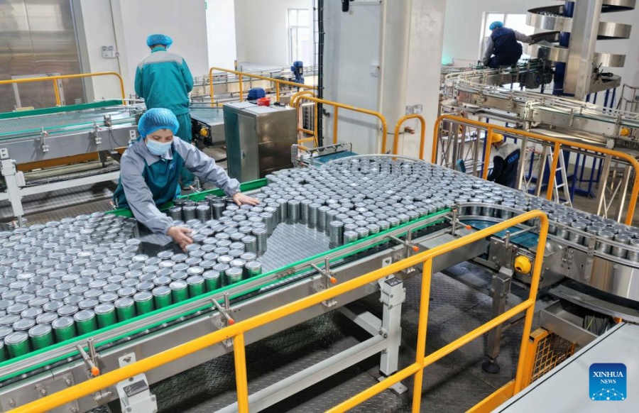 1765849343381060853.jpg 12_副本.jpg