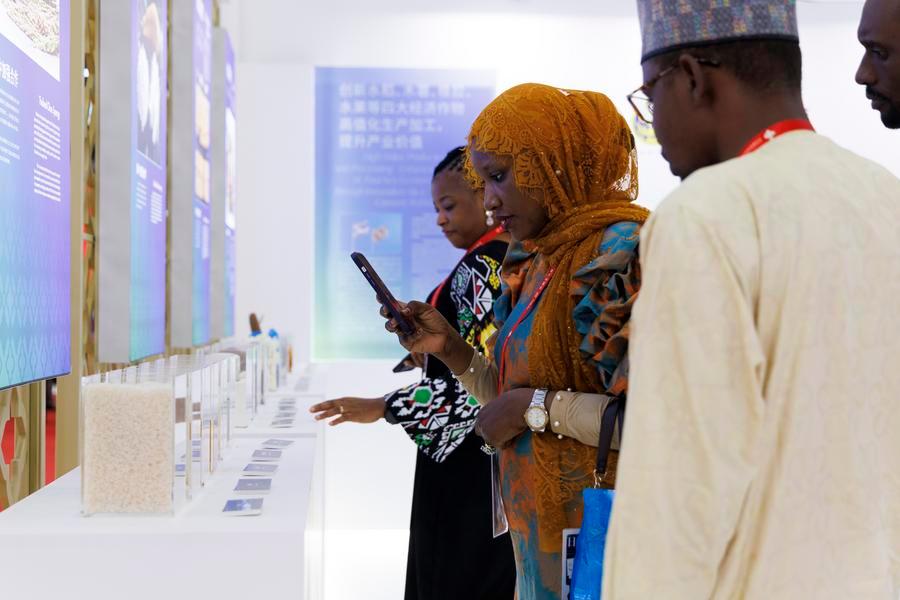 1766975878880091760.jpg 38.jpg