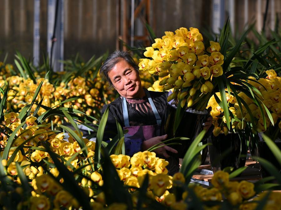 1768789248876003264.jpg 51.jpg