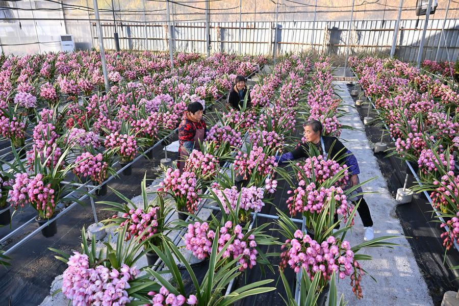 1768789311360015075.jpg 53.jpg