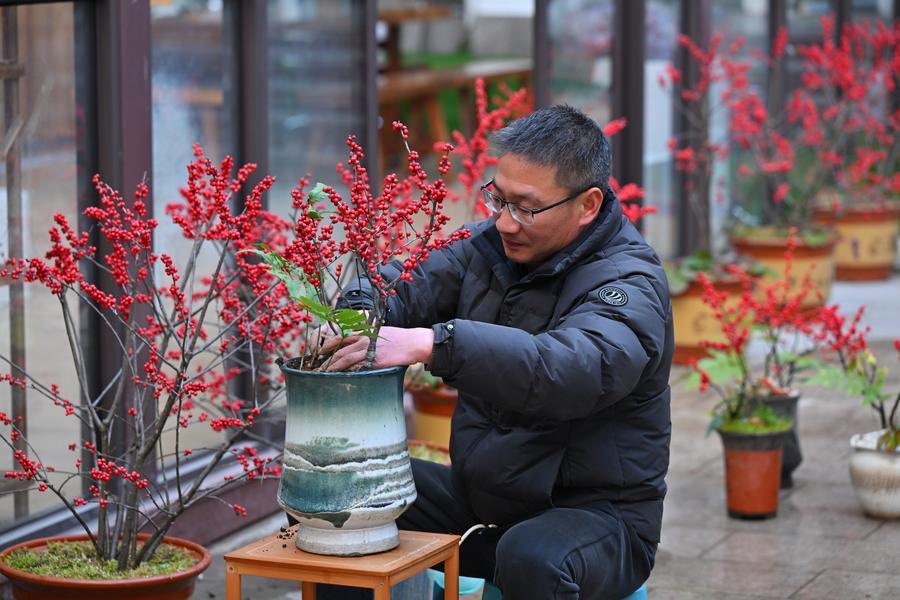 1768789325625002836.jpg 55.jpg