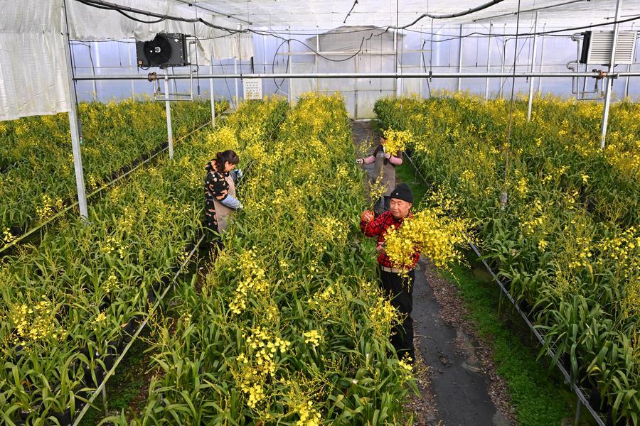 1768789344882095223.jpg 58.jpg