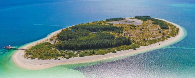 1768962127544076556.jpg FOREIGN1768888466249JIP33PJCDJ.jpg