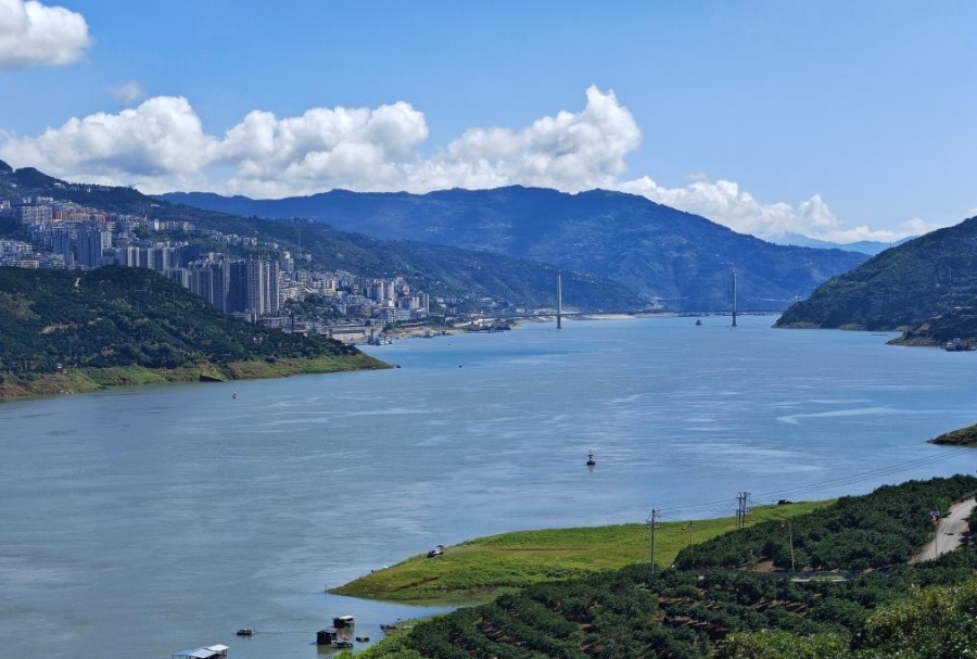 1769392419774099236.jpg 69741208a310d68600f6ae4d.jpg