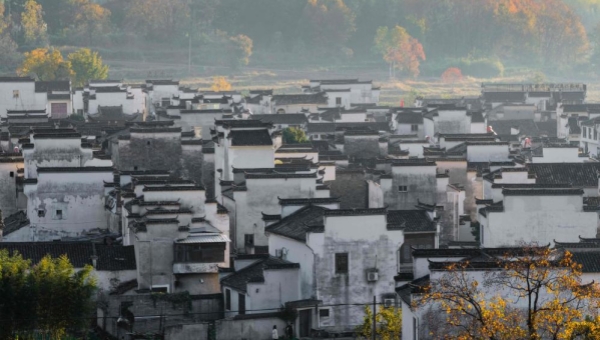 Homestays catalyzing rural and tourism growth in Huangshan