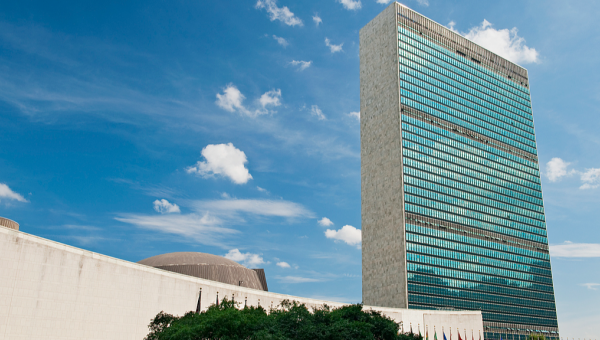 Xi extends congratulations on Int'l Day of Solidarity with Palestinian People