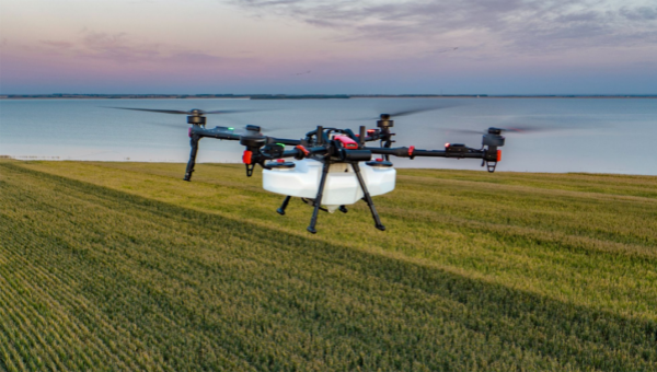 Tech cultivating China's rural vitalization