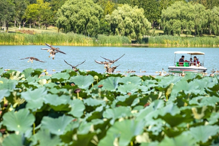 Beijing E-Town is picture perfect as seasons shift 