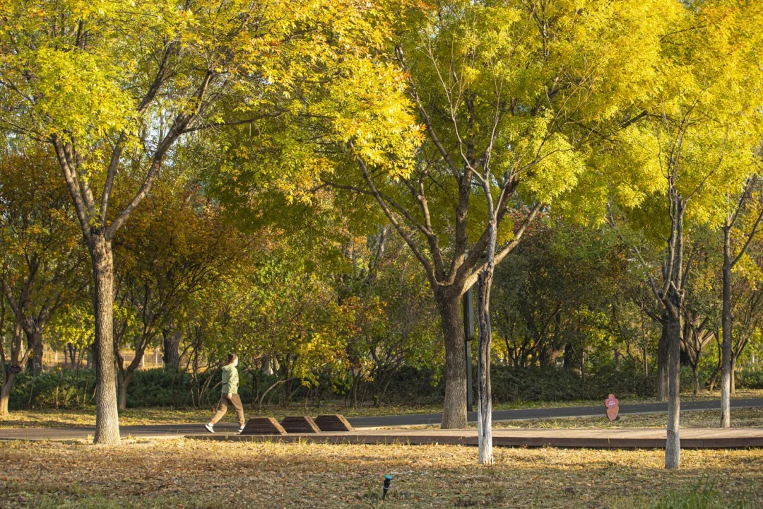 In late autumn, every scene of Beijing E-Town is worth collecting