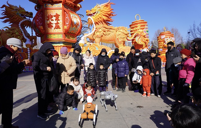 Robots debut in E-Town's park to celebrate Chinese New Year