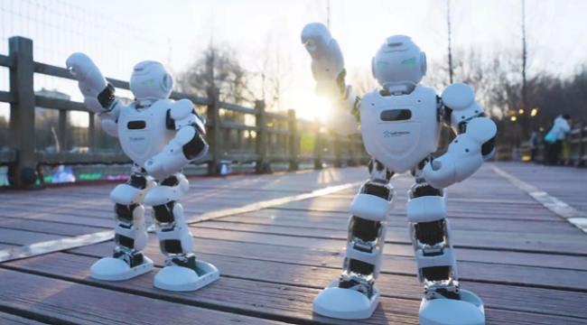 Beijing's first robot-themed park makes its debut in E-Town