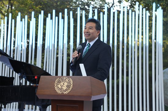 Remarks by CIDCA Chairman H.E. Mr. Luo Zhaohui at the United Nations ...