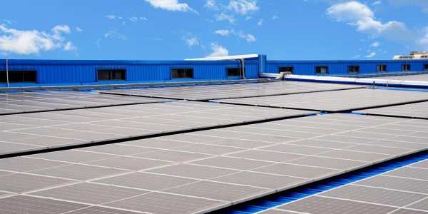 1728729841668061049.jpg 图片1(1)_副本.jpg