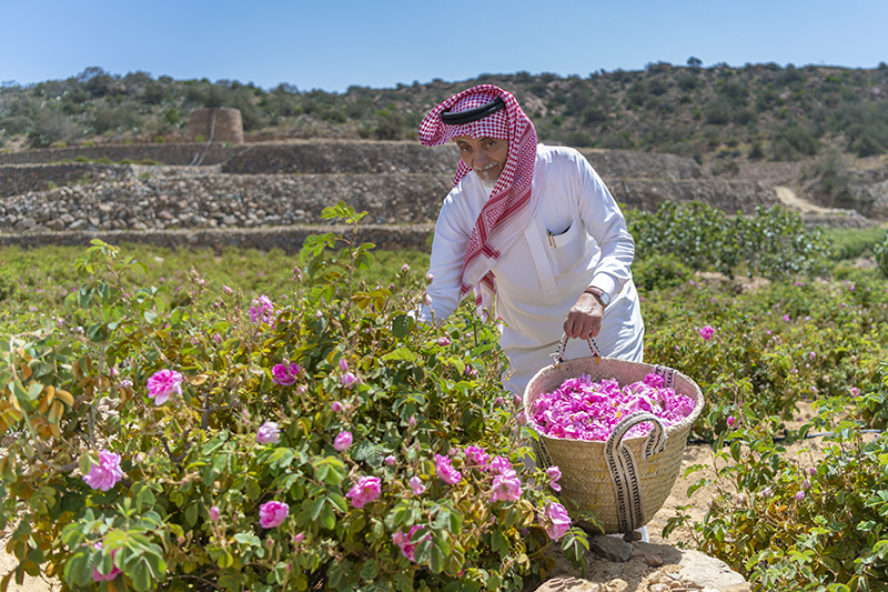 1747904907663018981.jpg fDSC_5473 copy.jpg