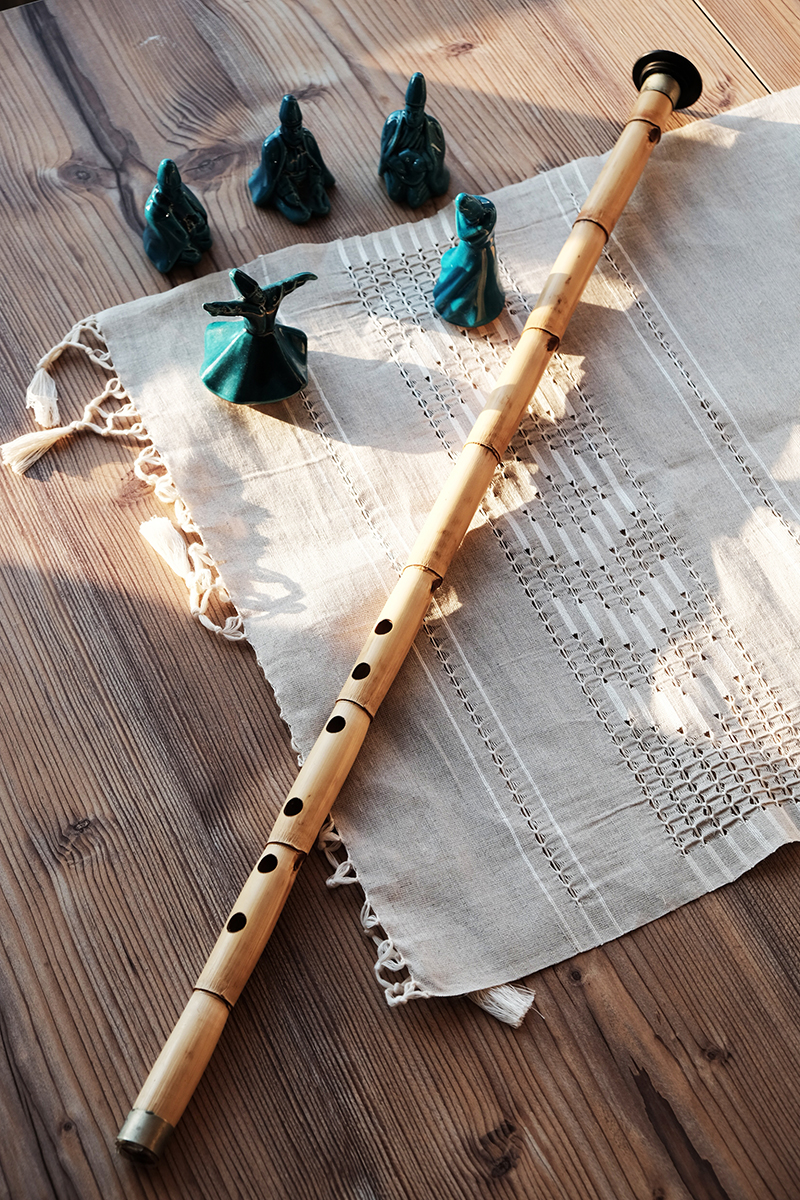 1747906397442047400.jpg ishutterstock_1015040653.jpg