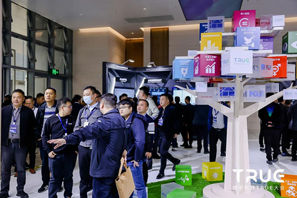 1750213909133039804.jpg 18.jpg