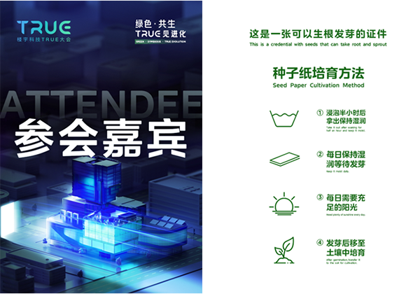 1750214039571080338.png 30.png