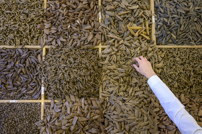 1752827192448097800.jpg DSC_9710.jpg