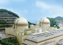 Eighth Japanese reactor resumes power generation