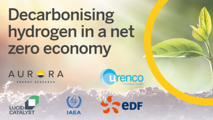 Decarbonising-Hydrogen-in-a-Net-Zero-Economy.jpg