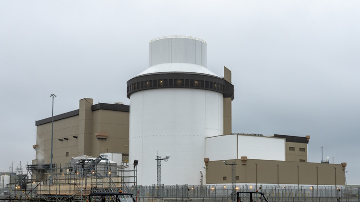 Vogtle 3 reaches first criticality