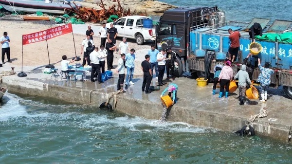 CNNP Liaoning Nuclear Power releases barracudas into the water