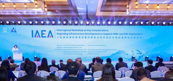 Global workshop on SMRs and MRs deployment held in Hainan