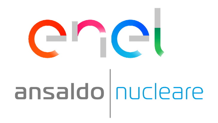 Italian firms assess advanced reactor deployment