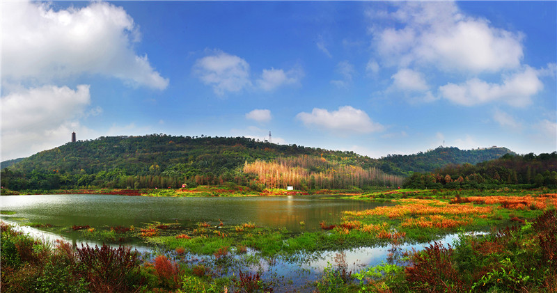 Wetlands of Zhaomu Mountain (2)-Yuan Kangdi.jpg
