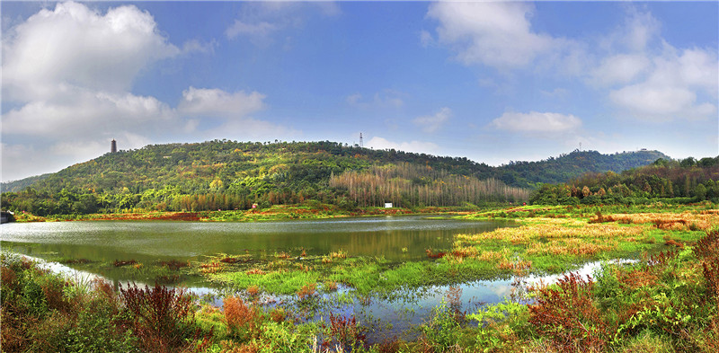 Wetlands of Zhaomu Mountain-Yuan Kangdi.jpg