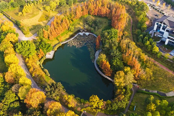 1765787469439018630.jpg 悦来会展公园_副本.jpg