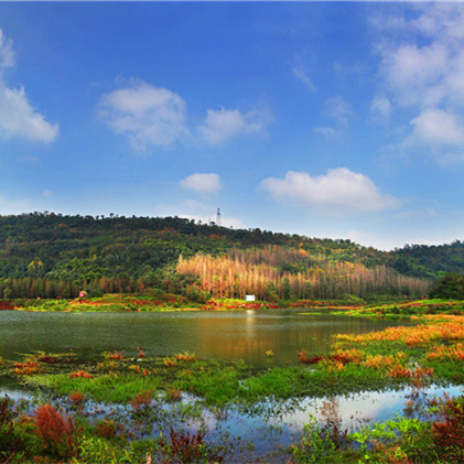 Wetlands of Zhaomu Mountain