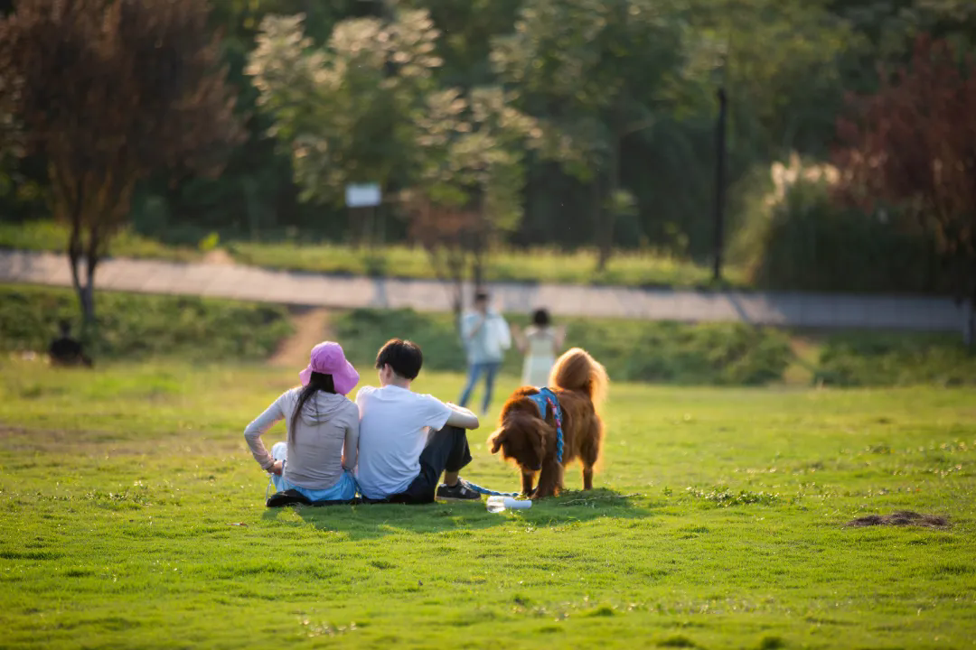 Enjoy a walk at Jiuqu River Wetland Park