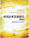 China Enterprise Development Report 2013