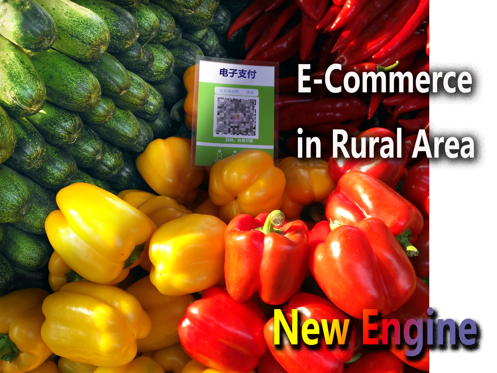 Government-backed E-Commerce in Rural Areas: A New Engine for Economic Development