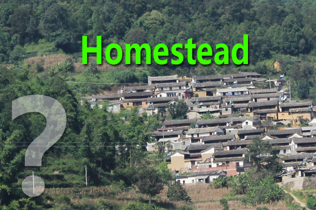 Policy Options on Deepening the Reform of Rural Homestead System