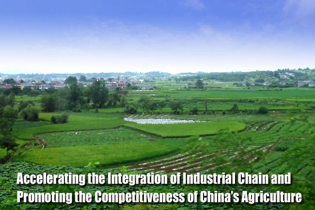 Accelerating the Integration of Industrial Chain and Promoting the Competitiveness of China’s Agriculture