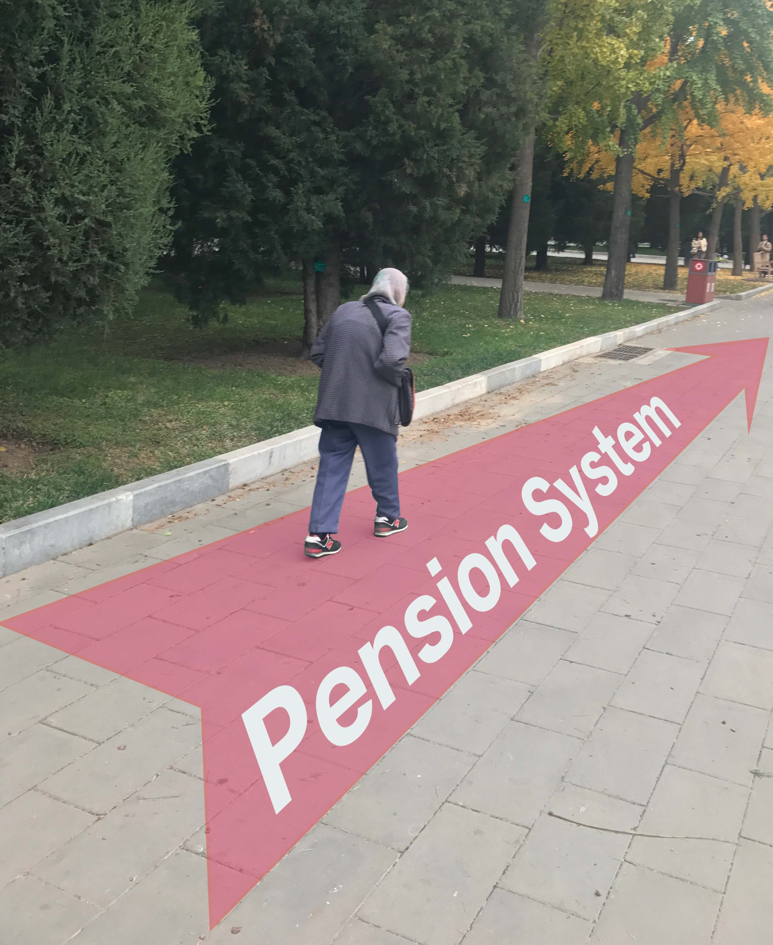 Develop Commercial Pension Insurance and Improve the Pension System