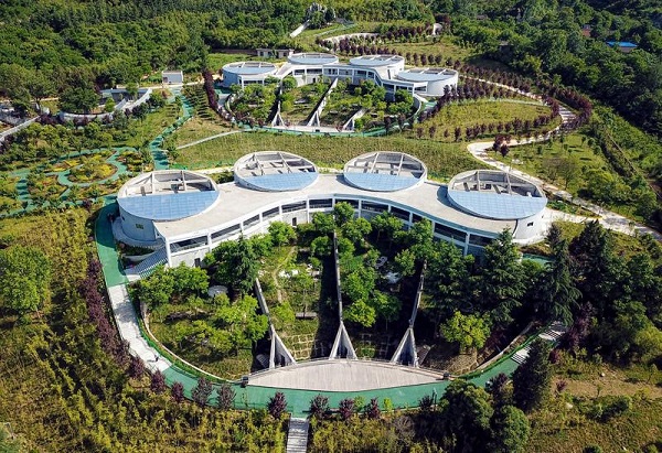 1724661673640064861.jpg 3.jpg