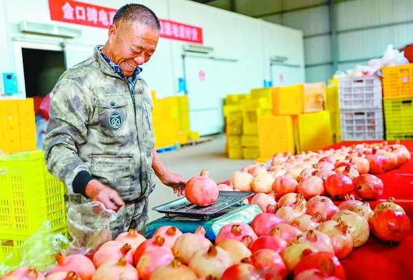 1724664785270064604.jpg 3.jpg