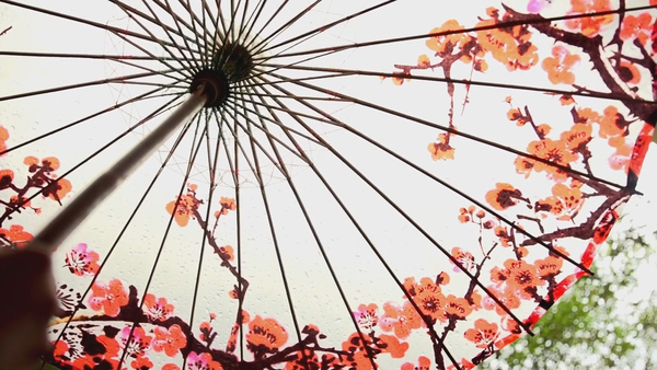 1733302067051092600.jpg 湘潭油纸伞2.jpg